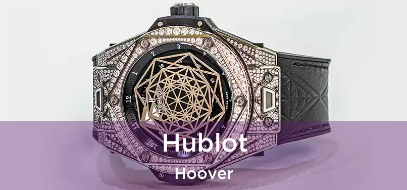  Hublot Hoover