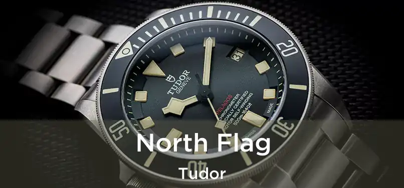  North Flag Tudor