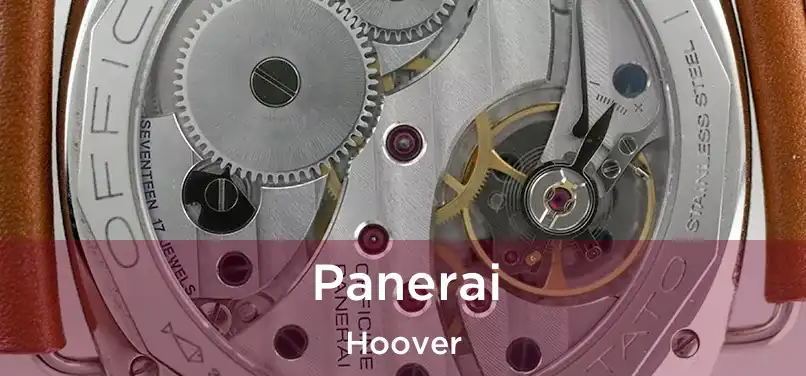 Panerai Hoover