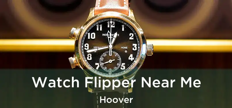  Watch Flipper Near Me Hoover